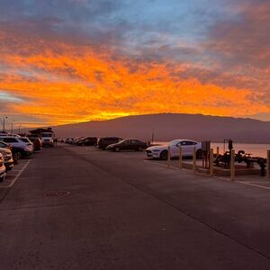 Meet your Poshers, Alex and Leila